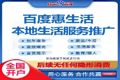 百度竞价广告的投放策略与成功案例分析